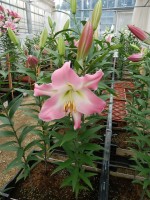 [5646 VH76 No01.JPG]